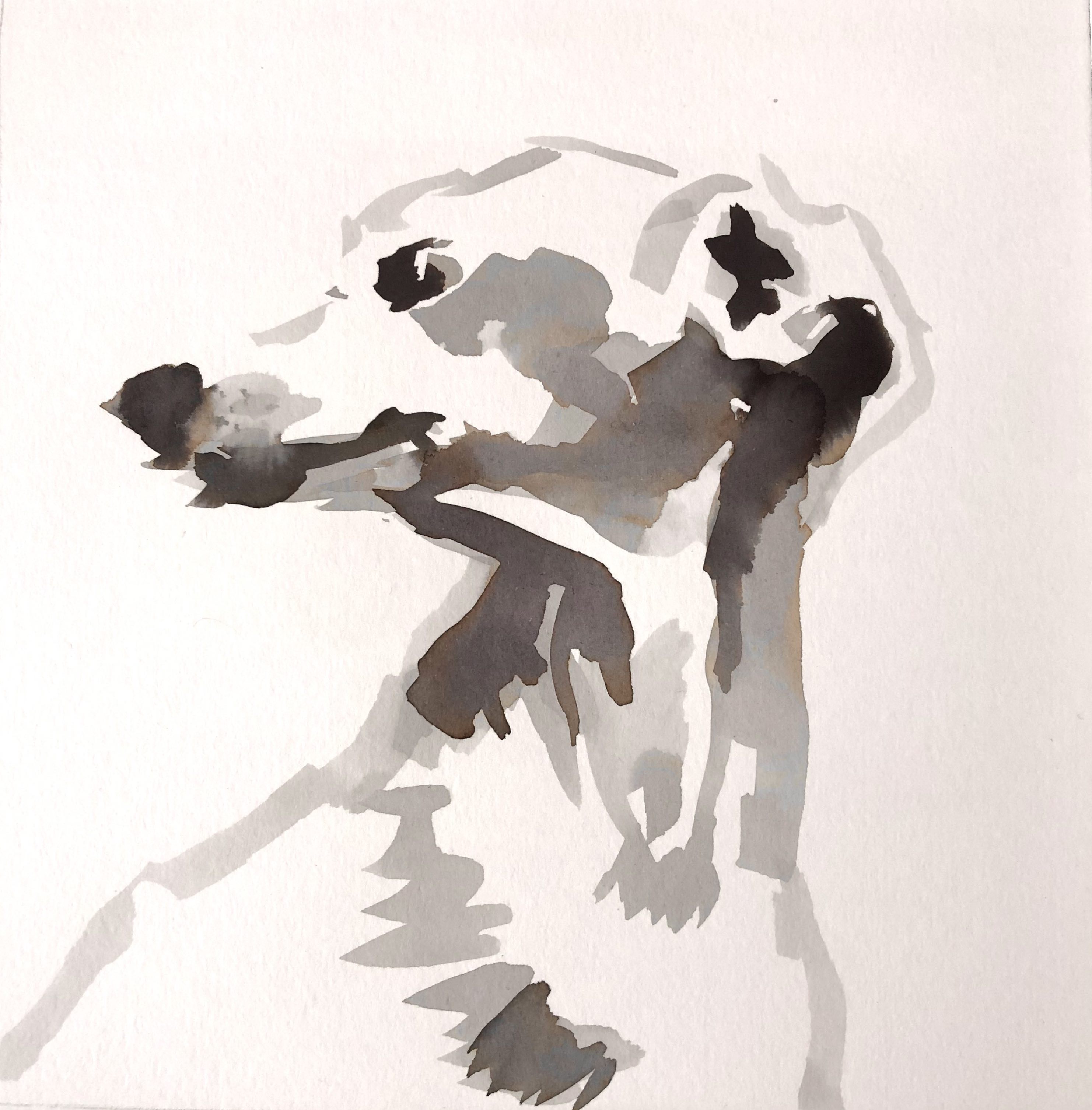 Ink Dog I by Cornelle Ellis