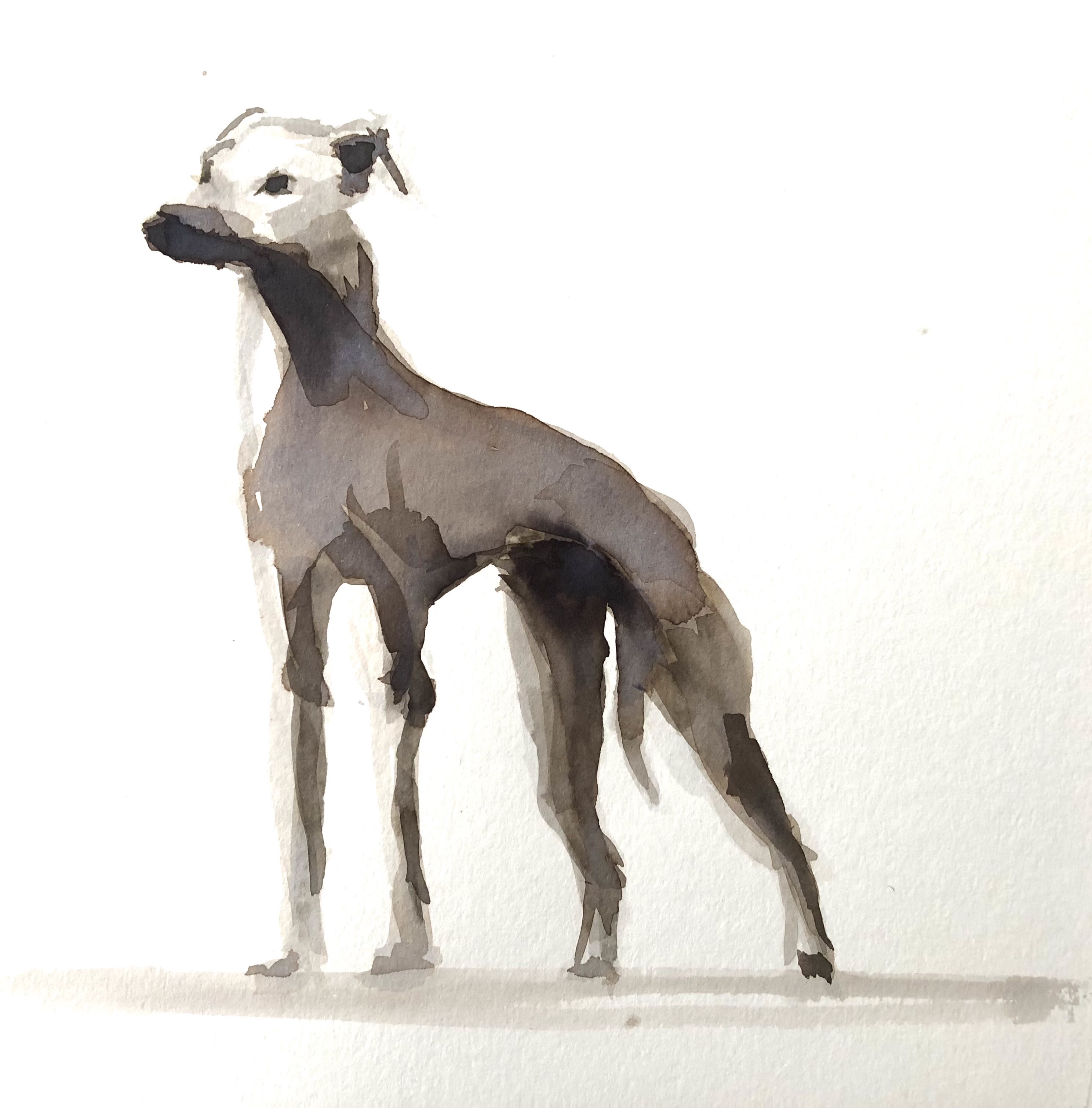 Ink Dog Ii by Cornelle Ellis