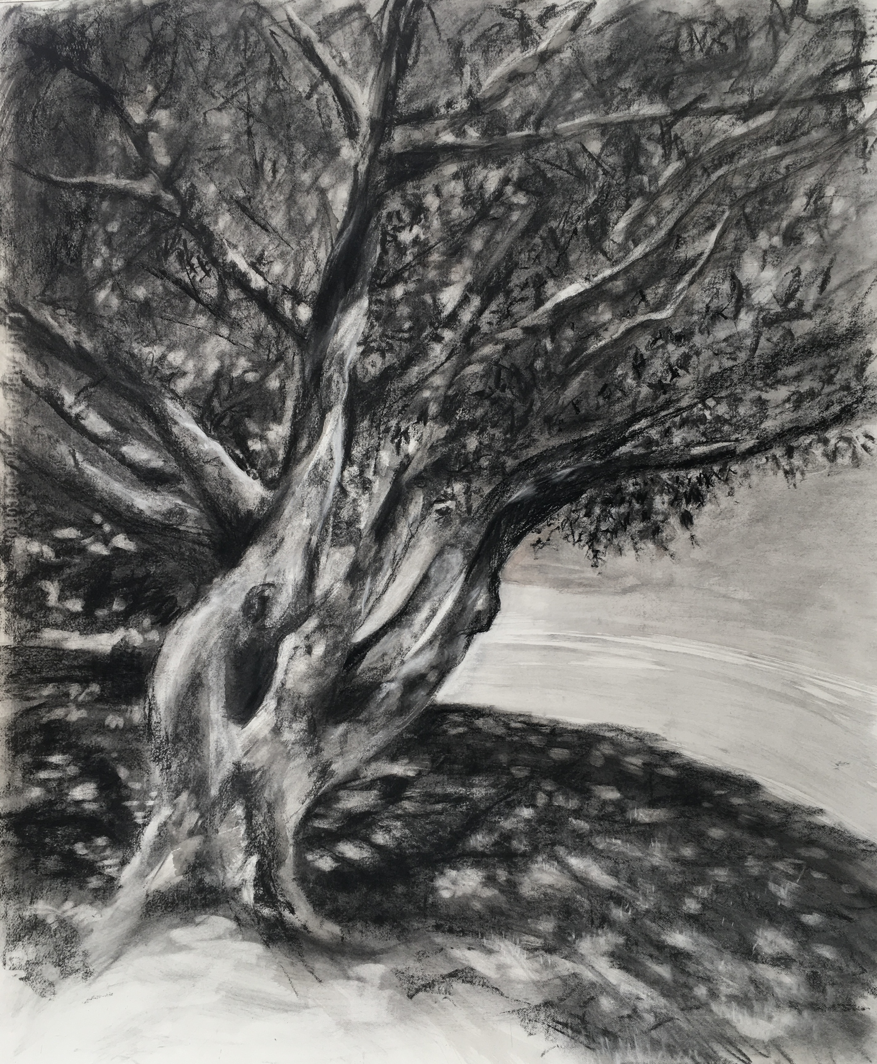 Milkwood by Cornelle Ellis