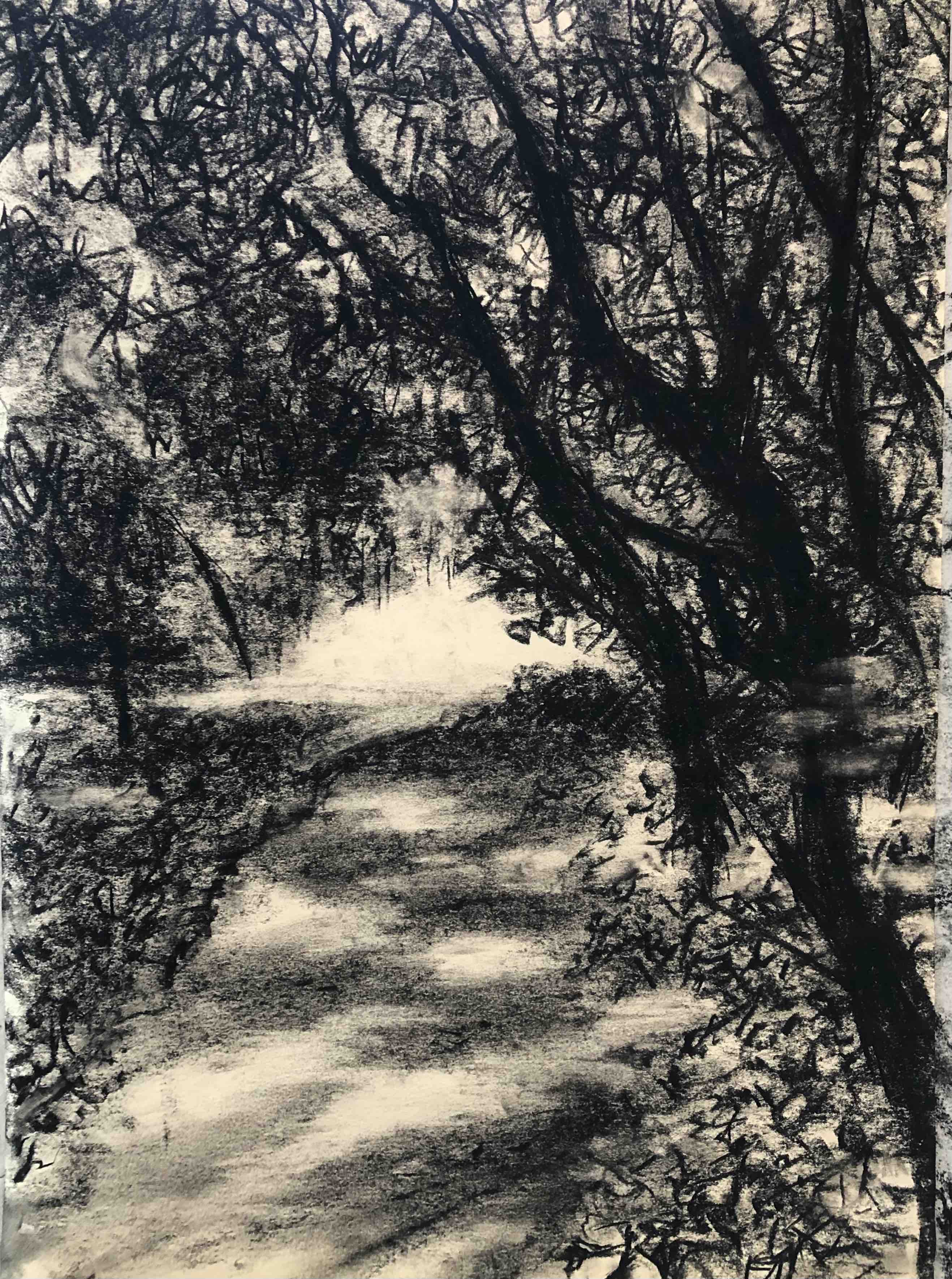 Trees 1 by Cornelle Ellis