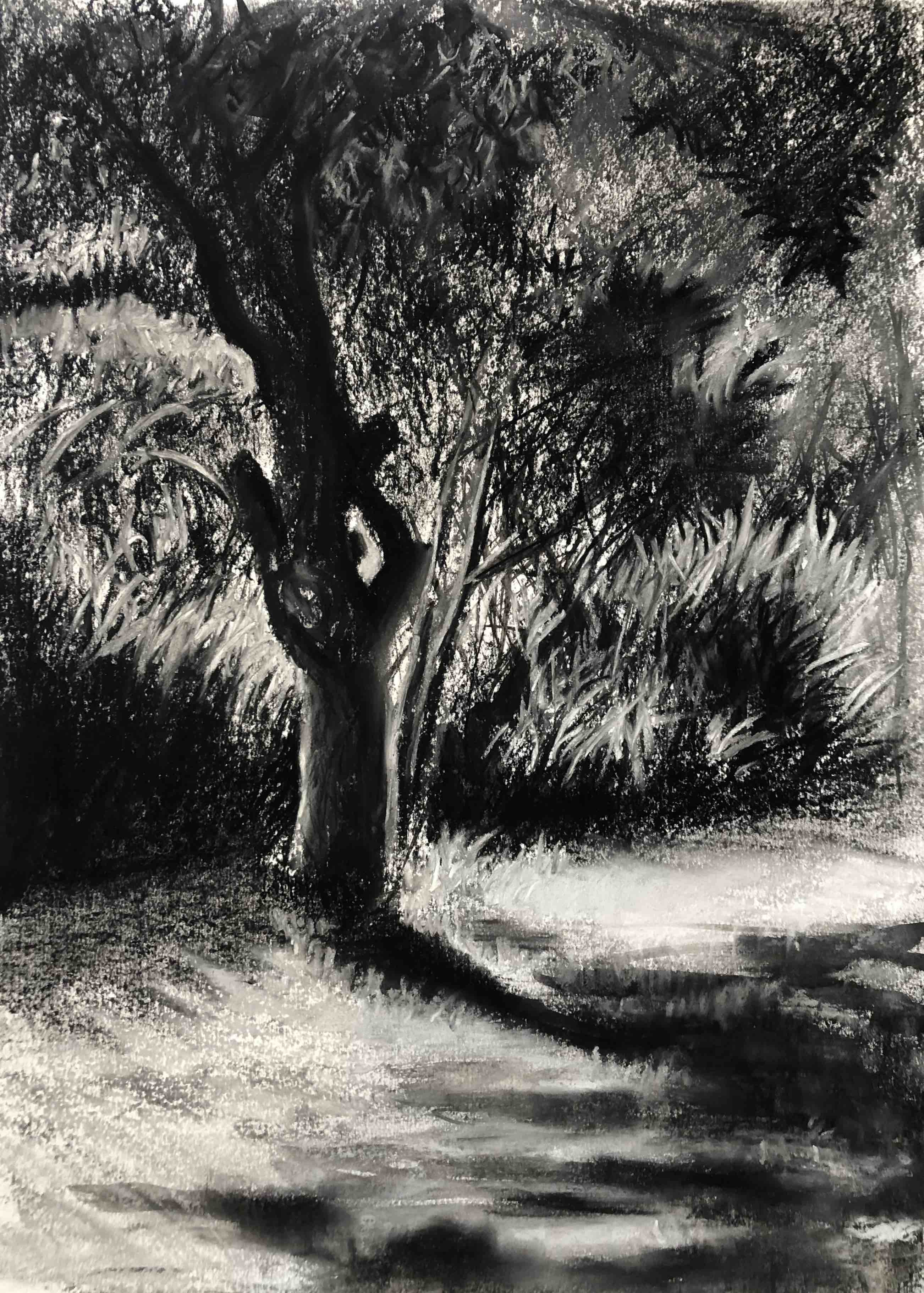 Trees 3 by Cornelle Ellis